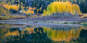 Rowdy Lake Reflection