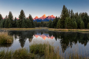 Schwabacher's Landing