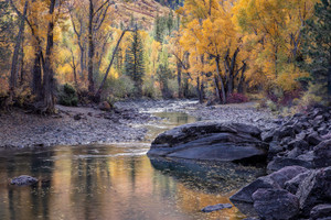 Crystal River Reflection