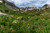 American Basin Abundant
