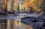 Crystal River Reflection