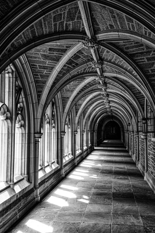 Princeton Path to Knowledge