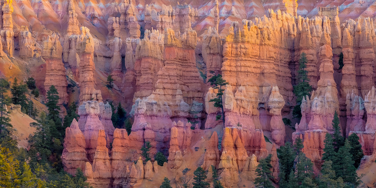 Bryce Canyon Hoodoos