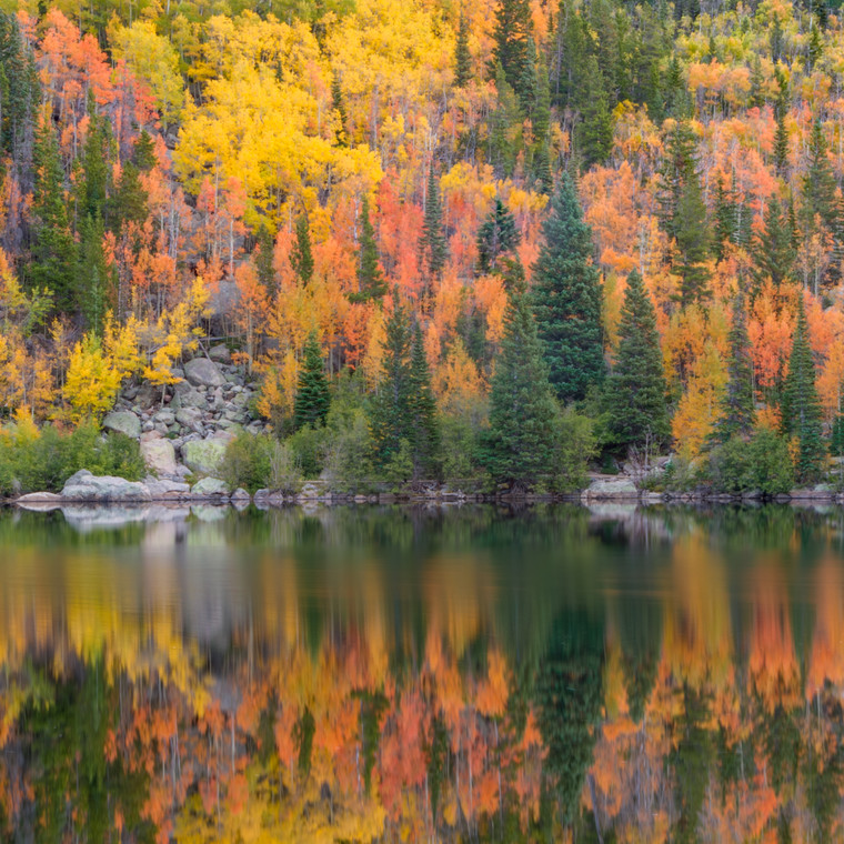 Bear Lake Reflection