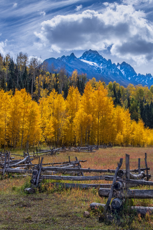 Mt. Sneffels Fenceline