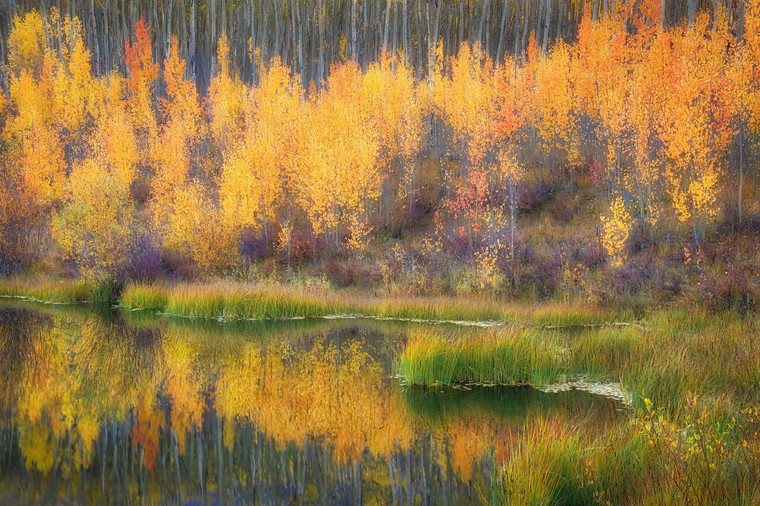 Twin Lake Pond Reflection