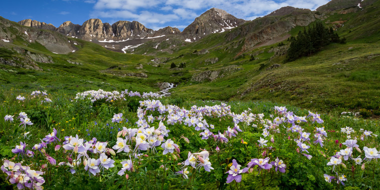 American Basin Landscape