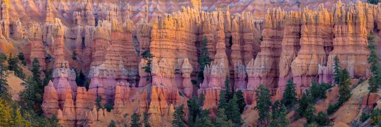 Bryce Canyon Hoodoos (P0139)