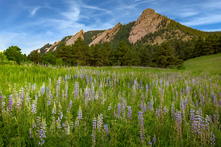 Upper Lupine Flatiron