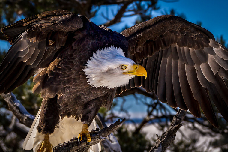 You Have my Attention