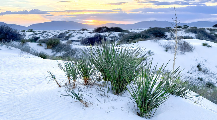 White Sands Sunset