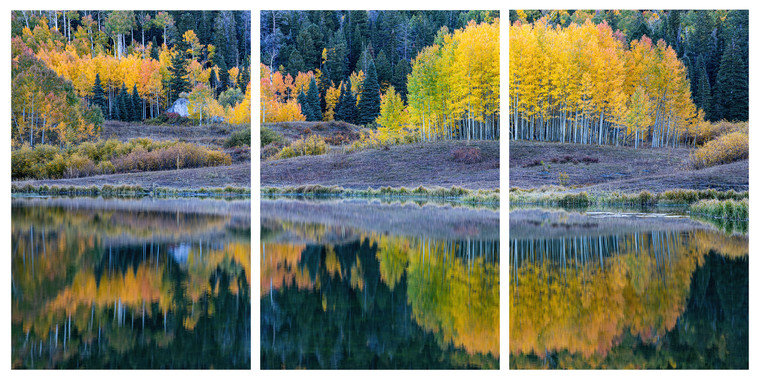 Clear Lake Reflection