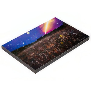 Float frame showing artwork floating inside the frame