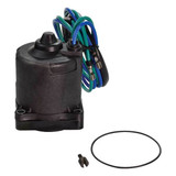 Tilt & Trim Motors