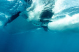 How to Choose the Correct Propeller for Your Outboard?