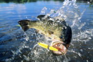 Spring is Here! Is your Fishing Gear Organized & Ready?