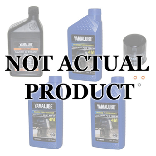 100 Hour Service Kit for Yamaha 4.2L V6 4-Stroke – Fuel Filter Not Included