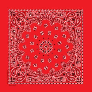 NT4401 Bandana Paisley Red