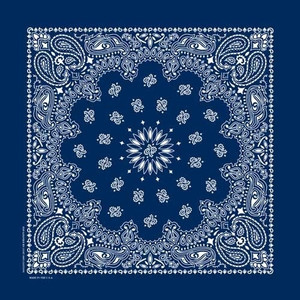NT4402 Bandana Paisley Navy