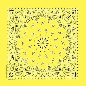 NT4403 Bandana Paisley Yellow