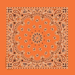 NT4404 Bandana Paisley Orange