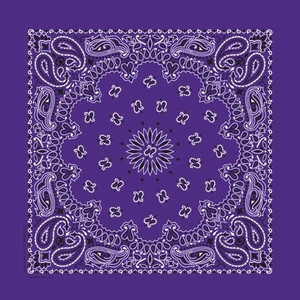 NT4406 Bandana Paisley Purple
