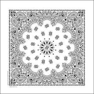 NT4409 Bandana Paisley White