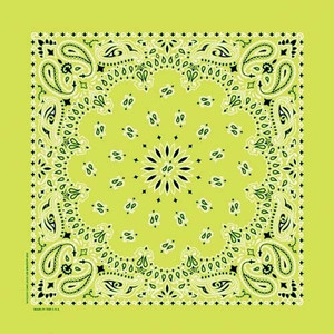 NT4410 Bandana Paisley Lime