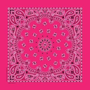 NT4413 Bandana Paisley Hot Pink