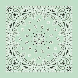 NT4414 Bandana Paisley Mint