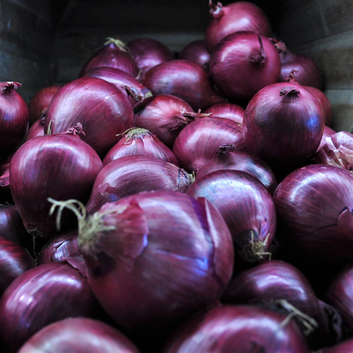 Red Onion