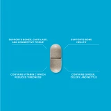 Glucosamine Plus key Benefits