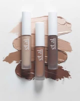 Various Shades Concealers