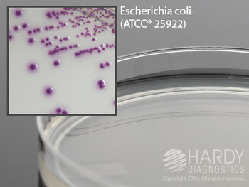 HardyCHROM ECC a chromogenic medium for E. coli and Coliforms, 10 pack - by Hardy Diagnostics