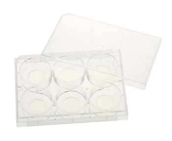 6 Well Tissue Culture Plate with Lid, 20mm Glass Bottom, Individual, Sterile