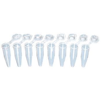 PCR Strip Tubes 0.2 mL with individual attached flat cap clear