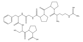 Bradykinin Fragment 1-7, (HPLC), 1MG