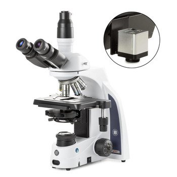 iScope trinocular microscope with EWF 10x/22mm eyepieces, Plan phase PLPHI 10/20/S40/S100x oil IOS objectives