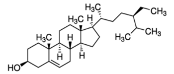 B-Sitosterol synthetic, 10MG