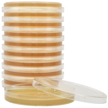 SterEM Tryptic Soy Agar (TSA), USP, Irradiated, Triple Bagged, 34mL Deep Fill