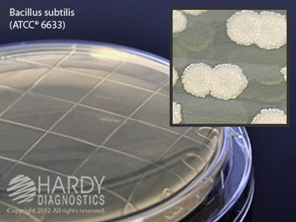 Tryptic Soy Agar (TSA) with Lecithin and Tween 80, 15x65mm Contact Plate