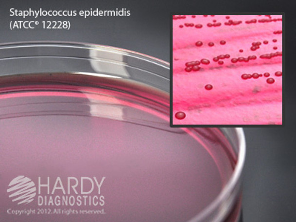 Mannitol Salt Agar (MSA) USP for Staphylococcus, 10 pack - by Hardy Diagnostics