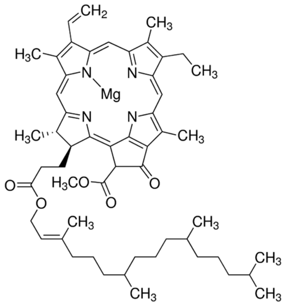 Chlorophyll a analytical standard (1mg)