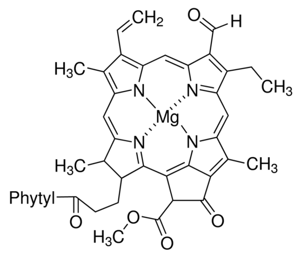 Chlorophyll b  analytical standard (1mg)