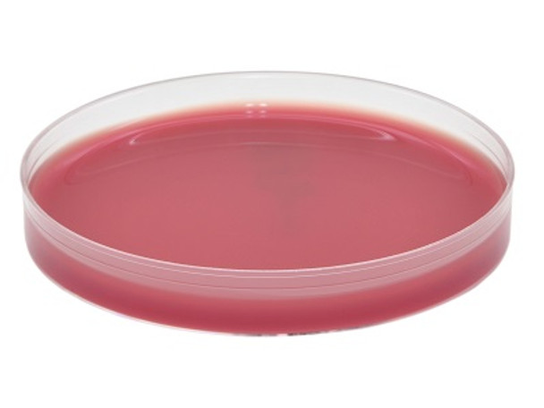 AnaeroGRO Anaerobic PEA (Phenylethyl Alcohol) Agar, Pre-reduced 15x100mm plate, one plate per mylar pouch