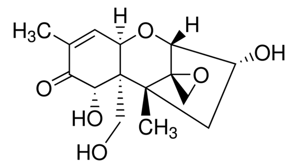 Deoxynivalenol Solution in ethyl acetate