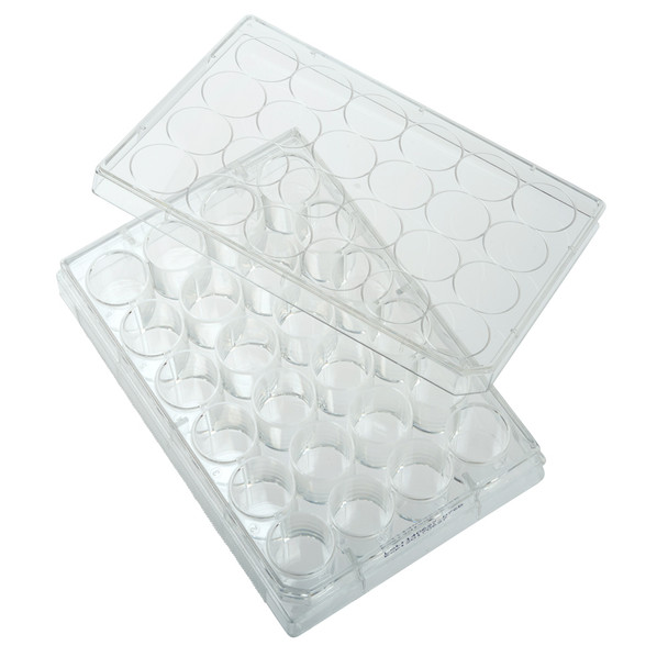 24 Well Tissue Culture Plate, Sterile, 50cs