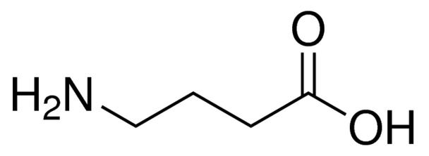 gamma-Aminobutyric acid (10g)