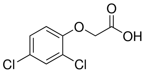 2,4-Dichlorophenoxyacetic acid (100g)