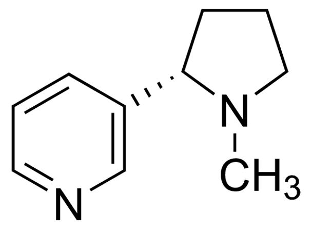 Nicotine PESTANAL analytical standard (250mg)